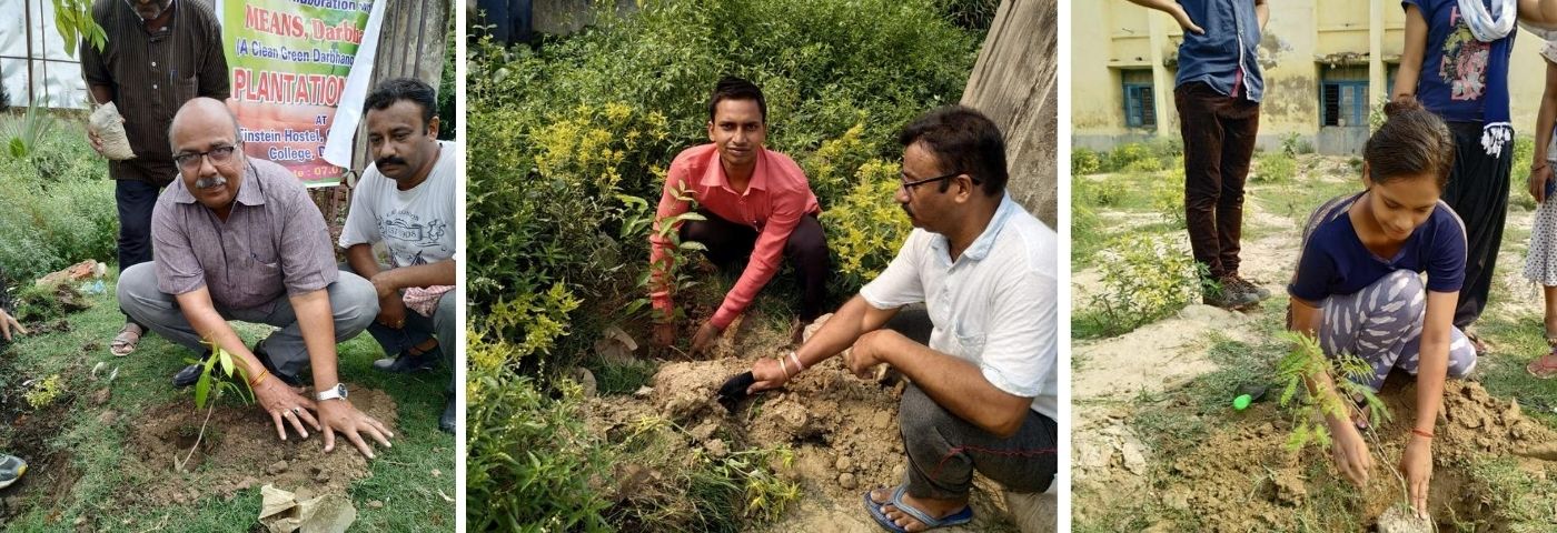 Plantation by MEANS Foundation
